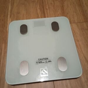 FitIndex Scale